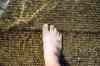 200908250003m.jpg - 2009:08:25 16:47:22