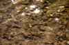 200908250006m.jpg - 2009:08:25 16:48:17