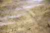 200908250024m.jpg - 2009:08:25 16:58:23