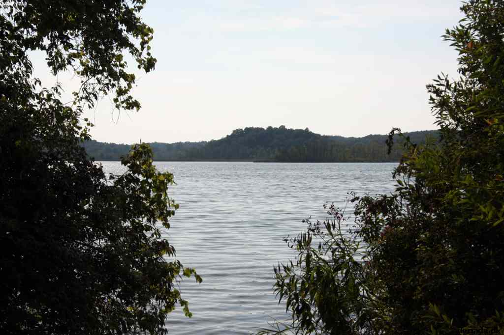 * Image 8