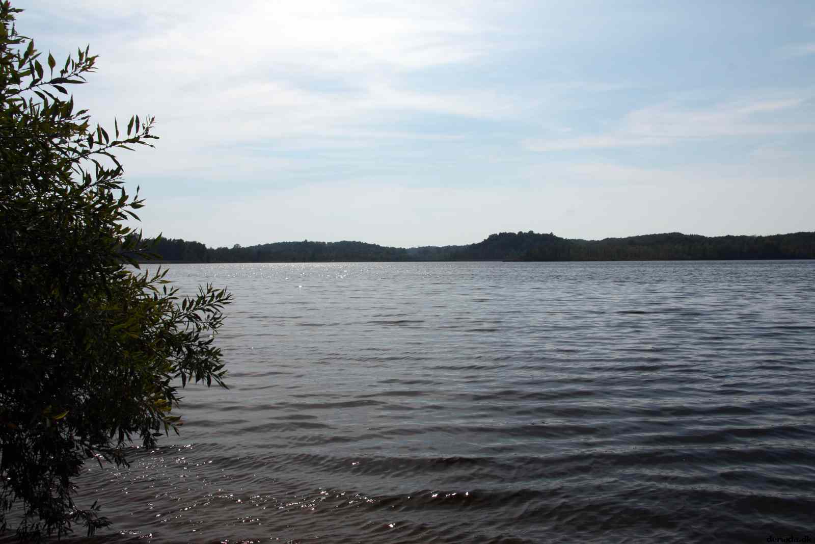 * Image 1