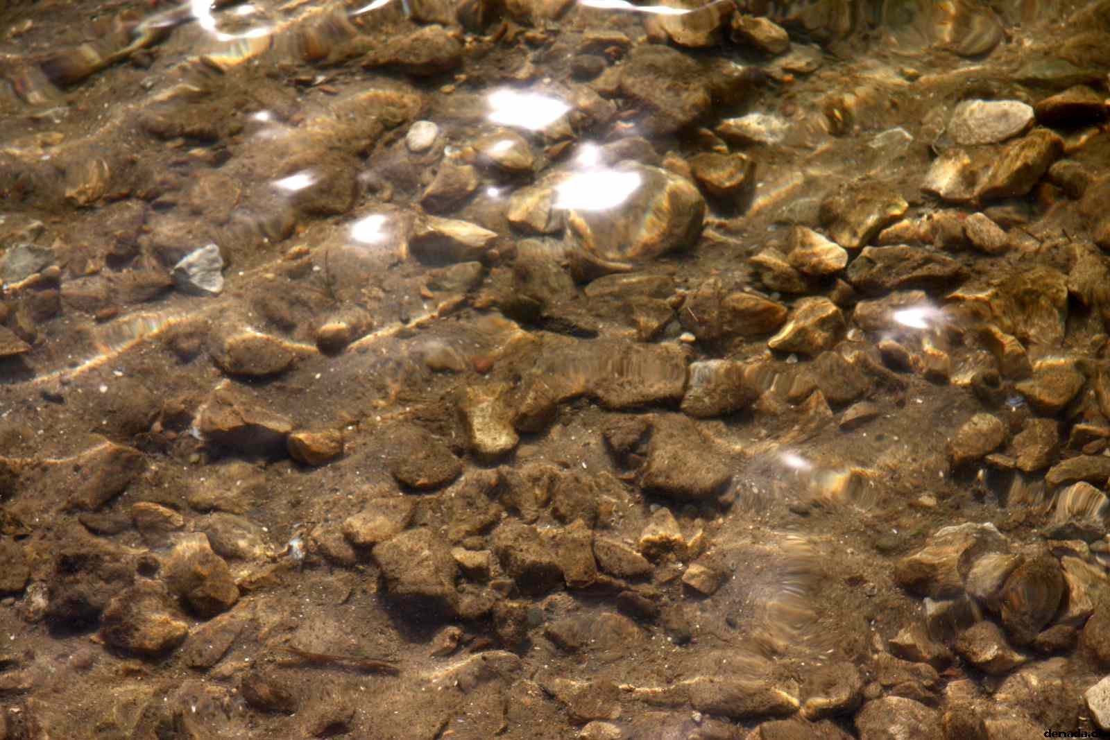 * Image 5