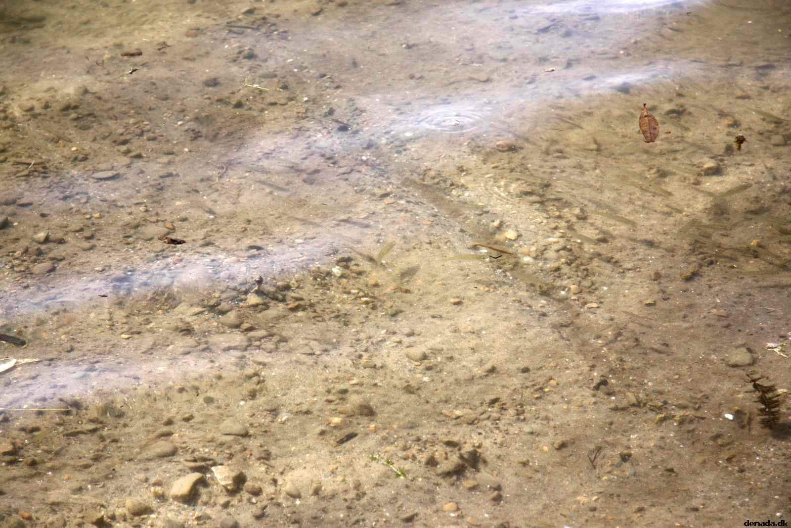 * Image 9