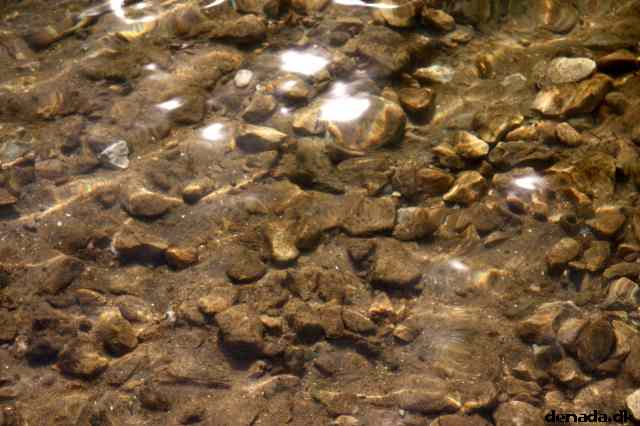 * Image 5