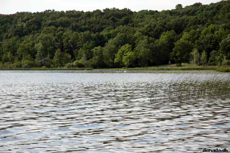 * Image 4
