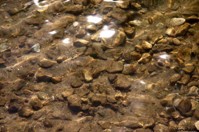 * Image 5