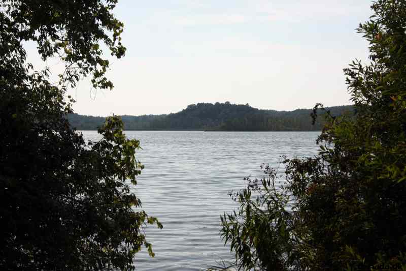 * Image 8