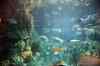 200908260020m.jpg - 2009:08:26 13:02:11