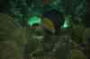 200908260022m.jpg - 2009:08:26 13:02:29