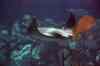 200908260023m.jpg - 2009:08:26 13:02:37