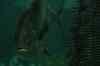 200908260025m.jpg - 2009:08:26 13:03:17