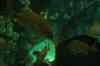 200908260027m.jpg - 2009:08:26 13:03:28