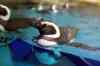 200908260038m.jpg - 2009:08:26 13:15:54