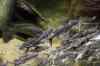 200908260047m.jpg - 2009:08:26 13:33:57