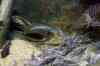 200908260049m.jpg - 2009:08:26 13:34:10