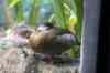 200908260050m.jpg - 2009:08:26 13:35:56