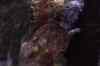 200908260054m.jpg - 2009:08:26 13:40:15