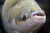 200908260059m.jpg - 2009:08:26 13:47:20