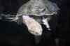 200908260060m.jpg - 2009:08:26 13:48:00