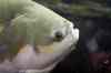 200908260064m.jpg - 2009:08:26 13:48:33