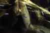 200908260074m.jpg - 2009:08:26 13:52:42