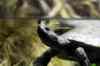200908260077m.jpg - 2009:08:26 13:52:55