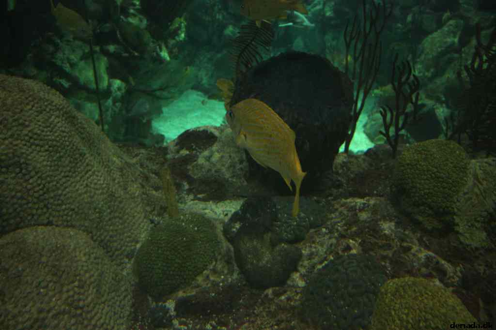 * Image 10