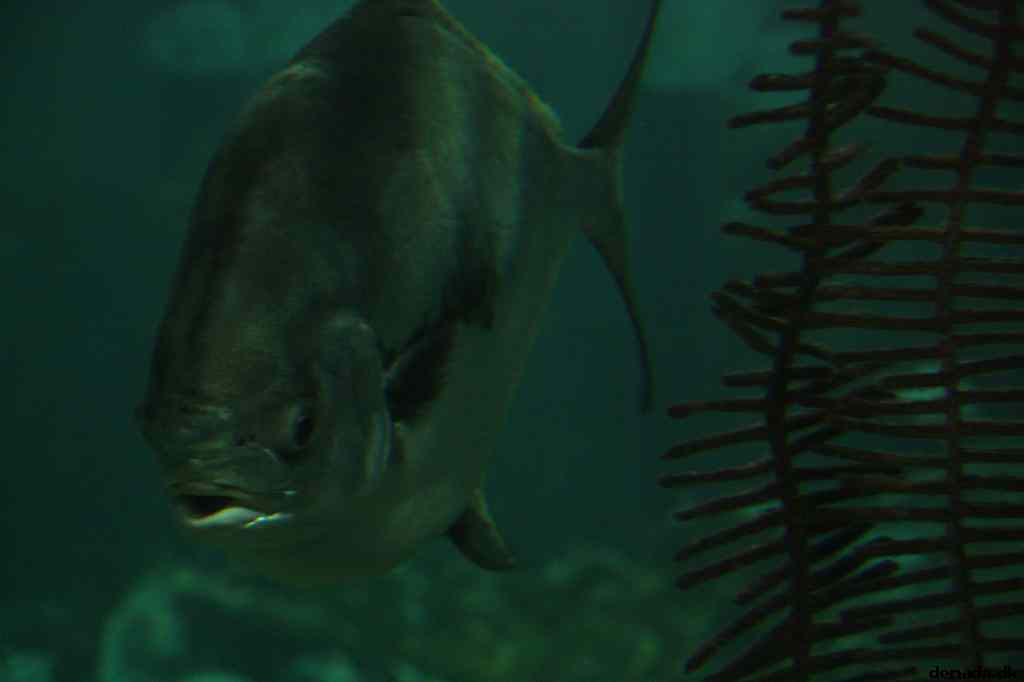 * Image 13