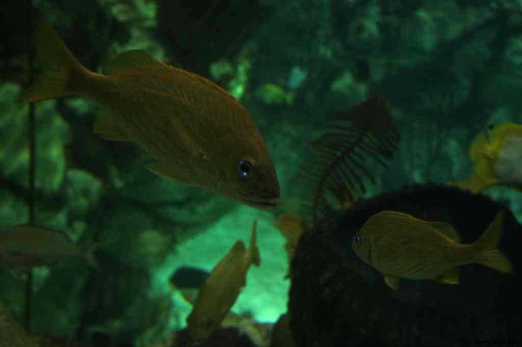 * Image 14