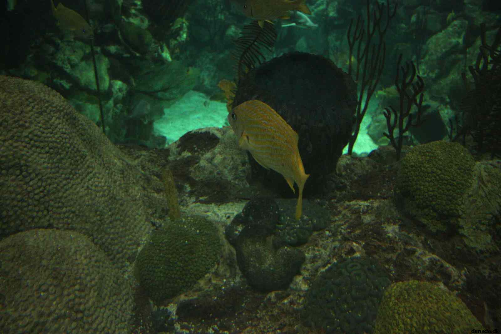 * Image 10