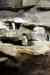 200908260045m.jpg - 2009:08:26 13:17:47