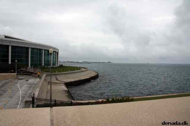 * Image 4