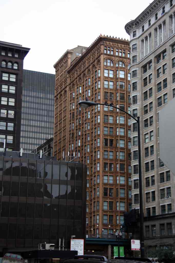 * Image 50