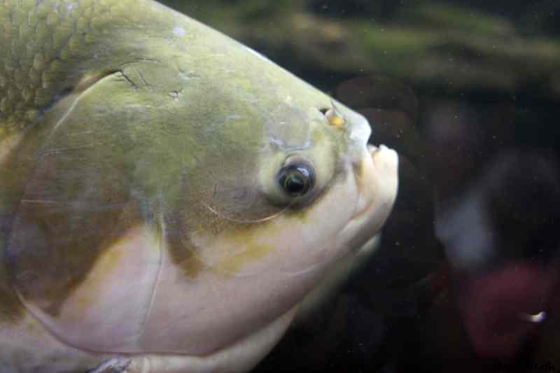 * Image 30