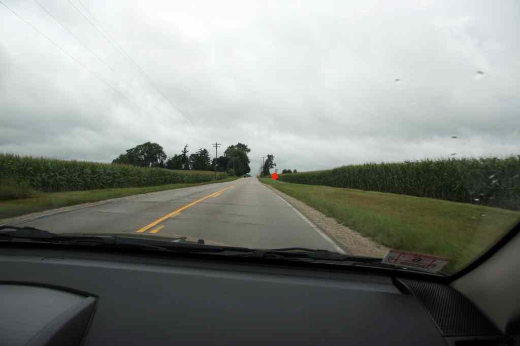 * Image 11