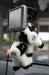 200908270071m.jpg - 2009:08:27 14:10:56