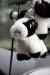 200908270102m.jpg - 2009:08:27 17:34:40