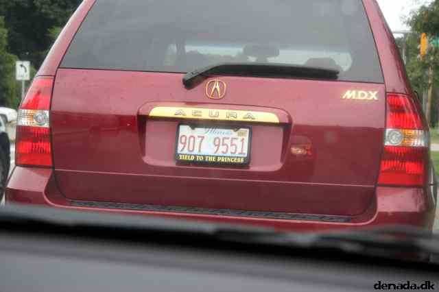* Image 7