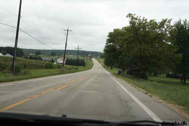 * Image 12