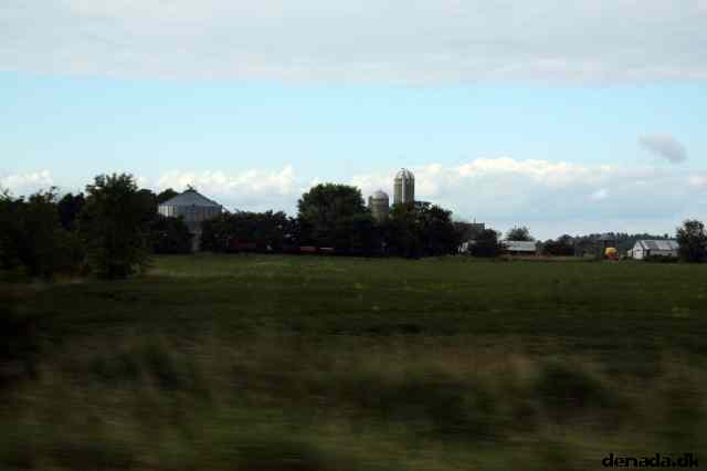 * Image 23