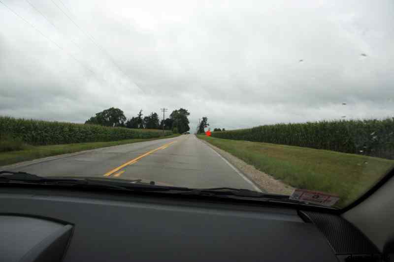 * Image 11
