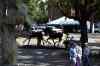 200908290045m.jpg - 2009:08:29 12:48:42