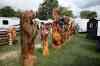 200908290225m.jpg - 2009:08:29 14:33:06