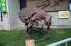200908290293m.jpg - 2009:08:29 15:56:19