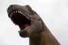 200908290296m.jpg - 2009:08:29 15:56:26