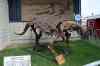 200908290300m.jpg - 2009:08:29 15:57:16