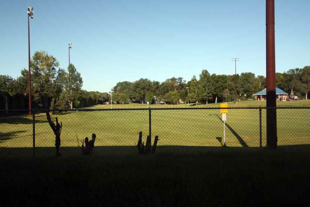 * Image 1