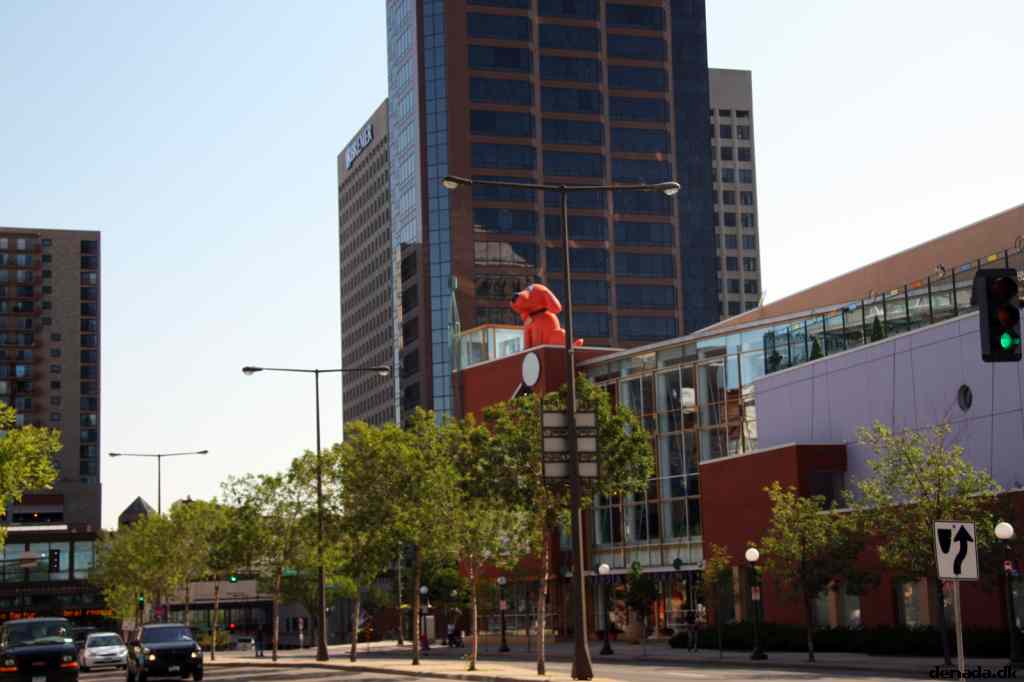 * Image 3