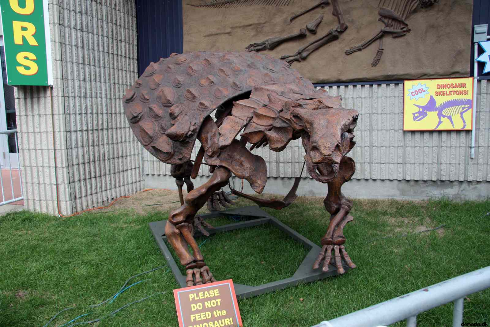 * Image 155