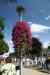 200908290105m.jpg - 2009:08:29 12:56:07